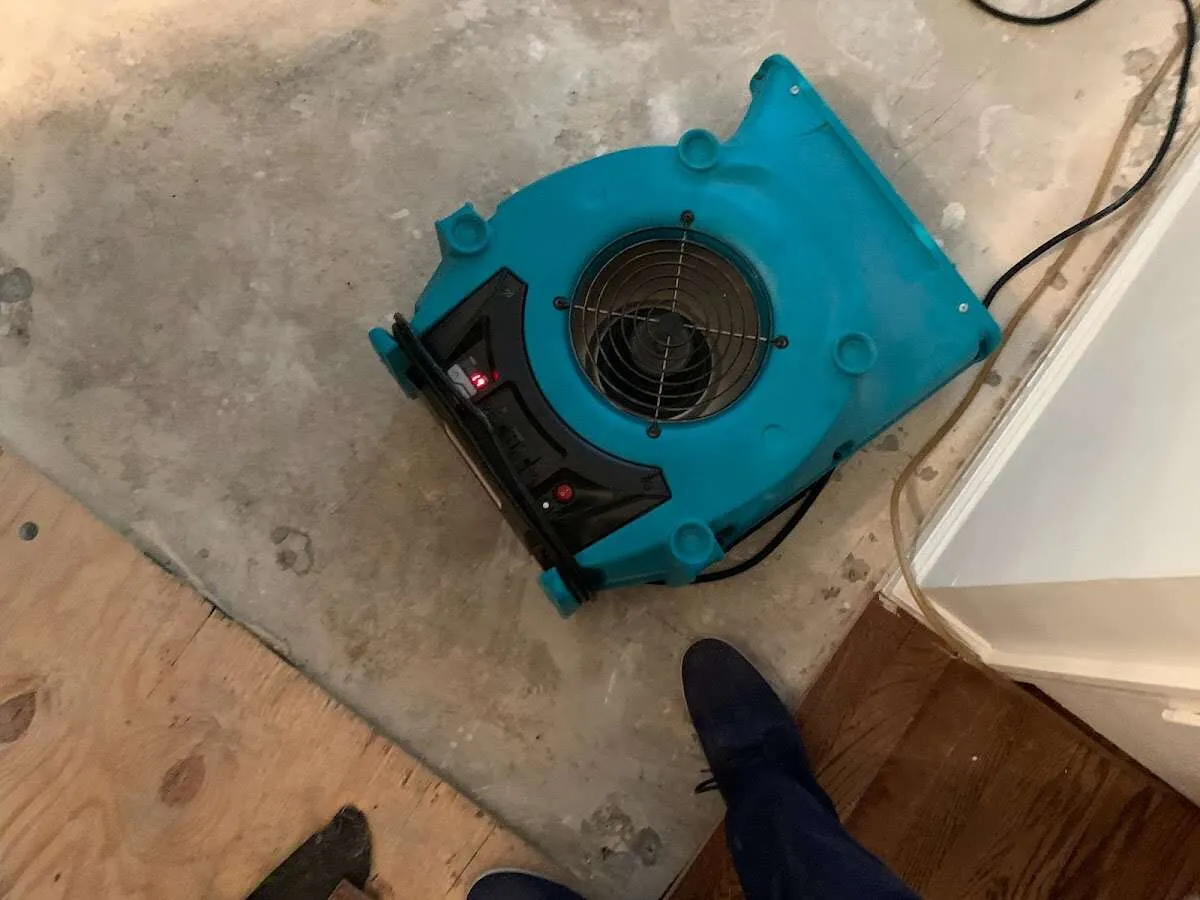 Air mover drying subfloor during Commercial Water Damage Restoration in South Bound Brook